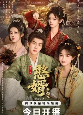 贤婿之憨婿 贤婿2 / 贤婿2之憨婿