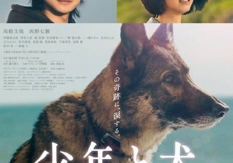少年与犬 2025 日本剧情电影 中字 网盘在线看