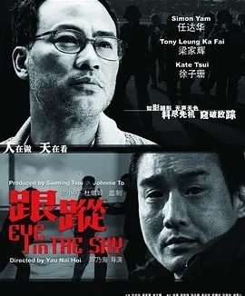 跟踪 (2007)丨7.5分丨主演: 任达华 / 梁家辉