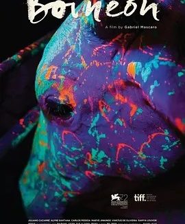 霓虹牛 (2015)丨6.5分丨威尼斯电影节 地平线单元奖 最佳影片(提名)
