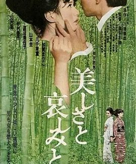 美丽与哀伤 (1965)丨7.1分丨筱田正浩/渡边美佐子作品 改编自川端康成原著 日语中字