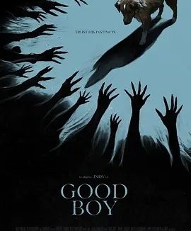 美影丨好狗狗 Good Boy (2025)丨西南偏南电影节展映