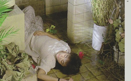 《海滩的一天》百度云网盘下载.阿里云盘.国语中字.(1983)