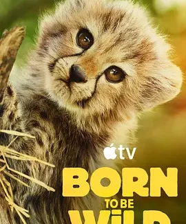生而狂野 Born To Be Wild