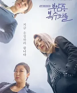 付岩洞复仇者们 大妈复仇联盟(港) / 复仇者社交俱乐部(台) / Buam-dong Avengers