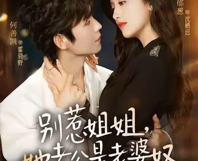 《别惹姐姐，她老公是老婆奴》百度云网盘夸克下载.阿里云盘.中字.(2026)