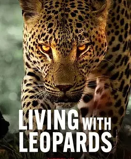 幼豹成长记 Living with Leopards