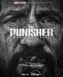 惩罚者：最后一击 制裁者：最后一击(台) / 惩罚者：特别故事 / Punisher Special