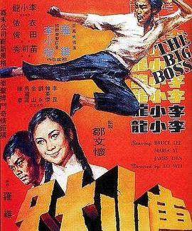 《唐山大兄》百度云网盘夸克下载.阿里云盘.中字.(1971)