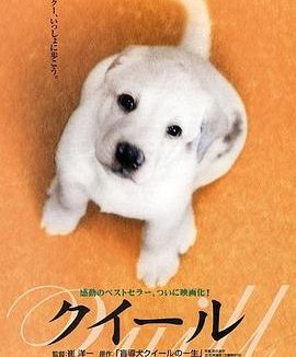 《导盲犬小Q》百度云网盘夸克下载.阿里云盘.中字.(2004)