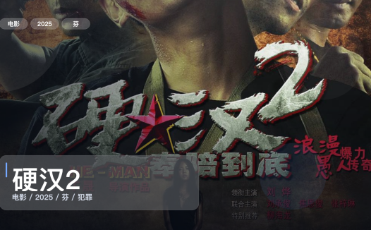 喜欢犯罪片的别划走！《硬汉2》 2025 1080P中文字幕 未删减 限时转存