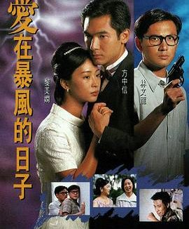 《爱在暴风的日子》百度