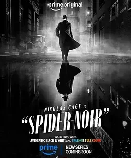 暗影蜘蛛侠 Spider-Noir / Noir / 暗影蜘蛛 / 暗影蜘蛛侠 / 暗影