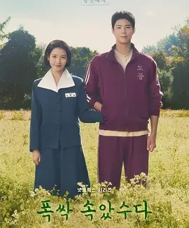 苦尽柑来遇见你 폭싹 속았수다 / 辛苦了 / 您辛苦了 / 你辛苦了 / When Life Gives You Tangerines / You Have Done Well