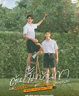 当橘子掉落时 When Oranges Fall / ต้นส้มบ้านเขา แต่ผลส้มหล่นมาบ้าน我们ตลอดเลย