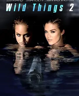 玩尽杀绝2 Wild Things 2