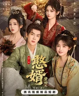 贤婿之憨婿 贤婿2 / 贤婿2之憨婿