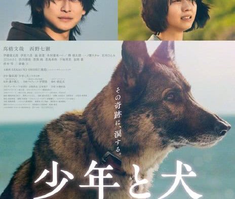 少年与犬 2025 日本剧情电影 中字 网盘在线看