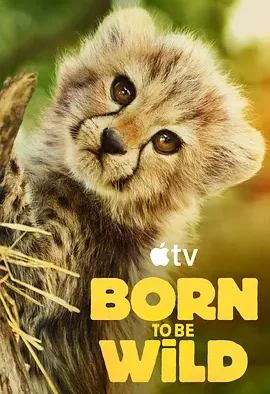 生而狂野 Born To Be Wild