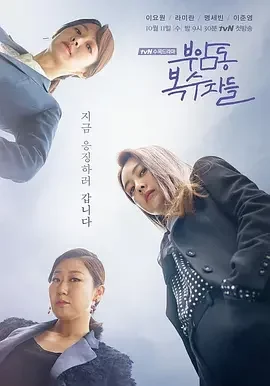 付岩洞复仇者们 大妈复仇联盟(港) / 复仇者社交俱乐部(台) / Buam-dong Avengers