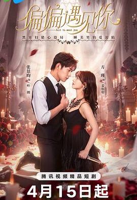 《偏偏遇见你》百度云网盘夸克下载.阿里云盘.中字.(2026)