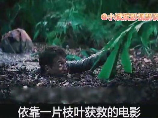 喜欢奇幻片的别划走！《丛林里的超级朱菲》 2026 夸克网盘 未删减 限时转存