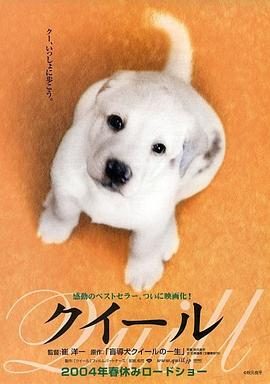 《导盲犬小Q》百度云网盘夸克下载.阿里云盘.中字.(2004)