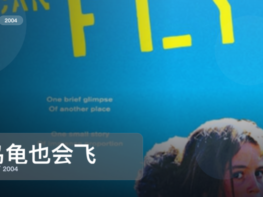 后劲太大了！《乌龟也会飞》 2004 1080P中文字幕 未删减 限时转存