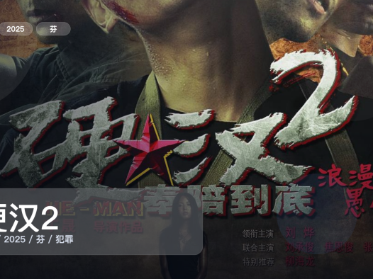 喜欢犯罪片的别划走!《硬汉2》 2025 1080P中文字幕 未删减 限时转存