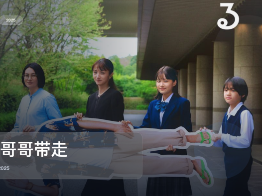 冷门但真好看！《把哥哥带走》 2025 中文字幕 未删减 限时转存