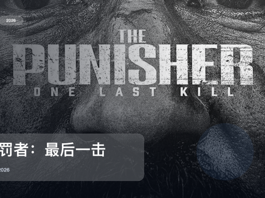 冷门但真好看！《惩罚者：最后一击》 2026 中文字幕 未删减 限时转存
