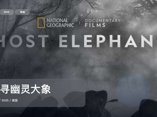 值得细看的纪录片《追寻幽灵大象》 2025 未删减 限时转存