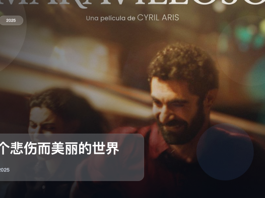 最近挖到宝了！美国爱情片《一个悲伤而美丽的世界》 2025 中文字幕 未删减 限时转存