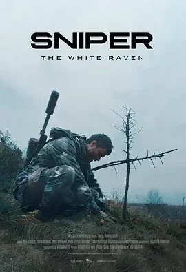 狙击手·白乌鸦 狙击手:代号白乌鸦 / Sniper. The White Raven / Hwanghae / The Killer
