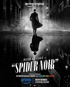 暗影蜘蛛侠 Spider-Noir / Noir / 暗影蜘蛛 / 暗影蜘蛛侠 / 暗影