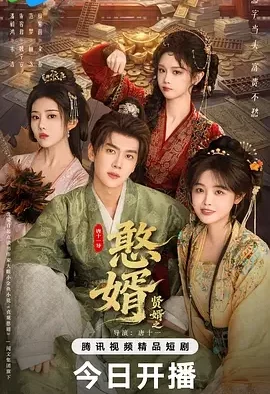 贤婿之憨婿 贤婿2 / 贤婿2之憨婿