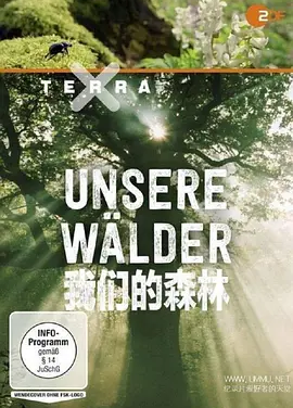 我们的森林 (2017)丨9.2分丨冷门高分纪录剧集推荐 全3集