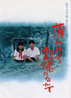 渐渐淡薄的记忆 (1992)丨8.1分丨高分爱情片推荐
