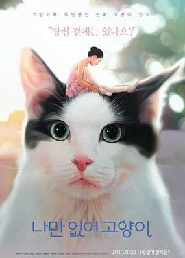 只有我没有猫 (2019)丨6.9分丨冷门奇幻电影推荐