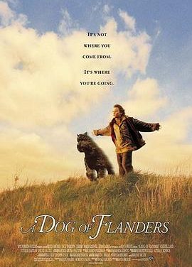 《义犬报恩》百度云网盘