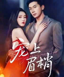宠上眉梢（51集）宋名申&田睿思 (2025)