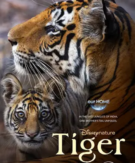 老虎 Tiger (2024)丨8.3分丨冷门高分纪录片推荐