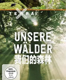 我们的森林 (2017)丨9.2分丨冷门高分纪录剧集推荐 全3集