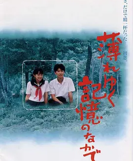 渐渐淡薄的记忆 (1992)丨8.1分丨高分爱情片推荐