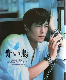 青鸟 (1997)丨8.5分丨丰川悦司/夏川结衣主演 全11集