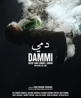 达米 Dammi