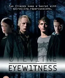目击证人 Øyevitne / Eyewitness