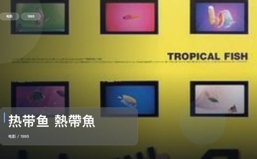后劲太大了!《热带鱼 熱帶魚》 1995 未删减 限时转存