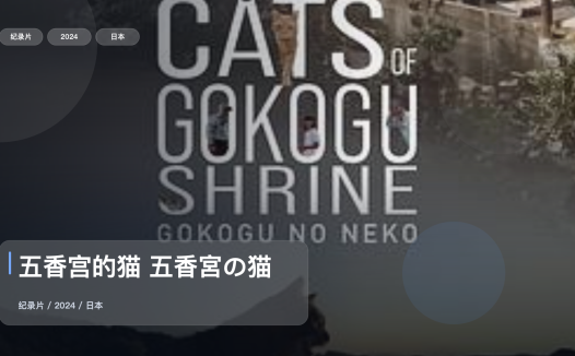 值得细看的纪录片《五香宫的猫 五香宮の猫》 2024 未删减 限时转存