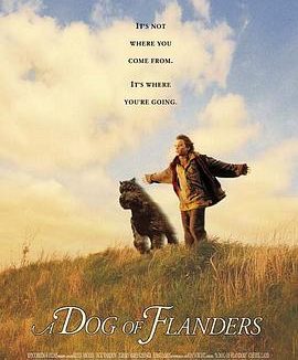 《义犬报恩》百度云网盘